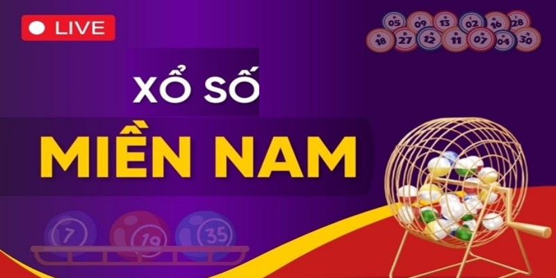 Dữ liệu thống kê từ chuyên gia giúp người chơi soi cầu hiệu quả hơn